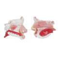 /msite/products/detail/productid/57018276/id/666382.html